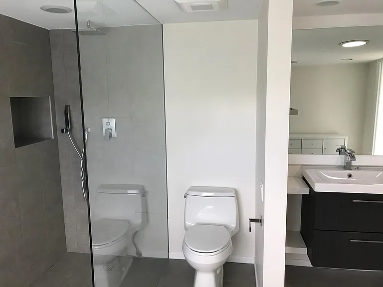 Master Bathroom with designer shower