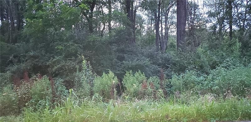 2nd image of 236 Bairdford Rd