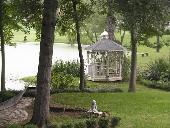 pond view
