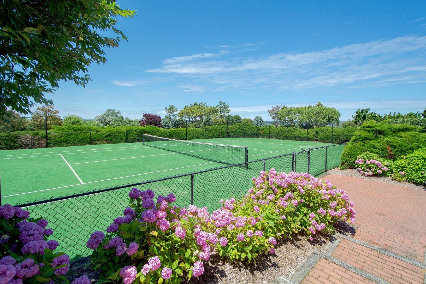 Omni Tennis Court