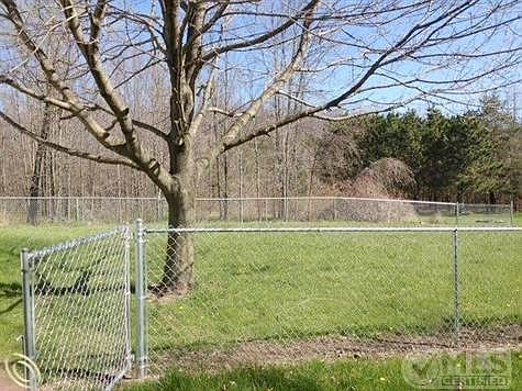 Back yard fence.JPG