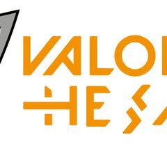 Zillow profile picture for @valorant