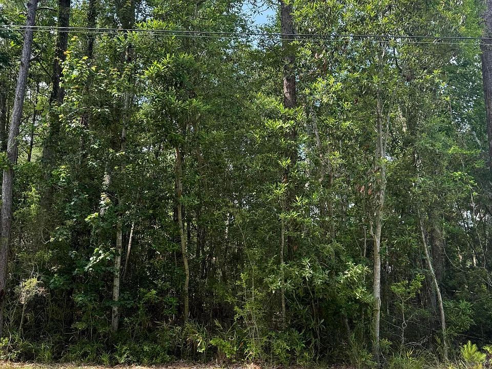 2nd image of 0 Kalipekona Way