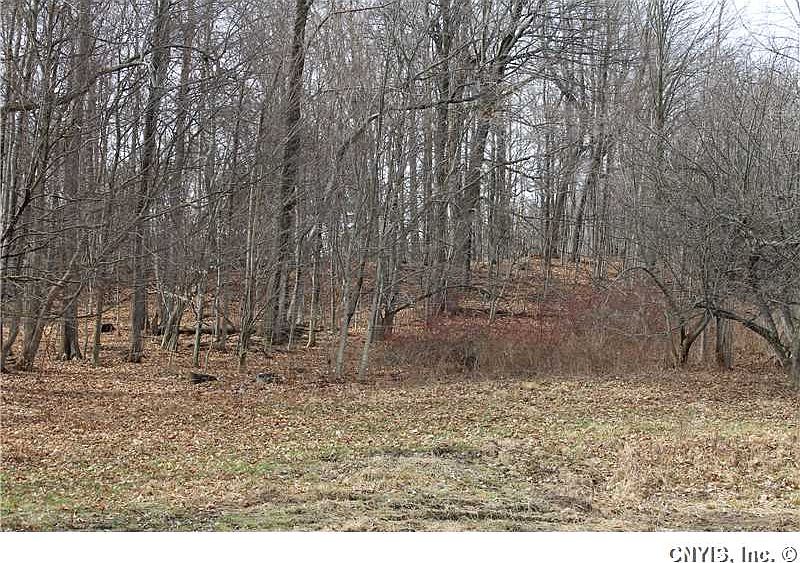 2nd image of 3109 State Route 38