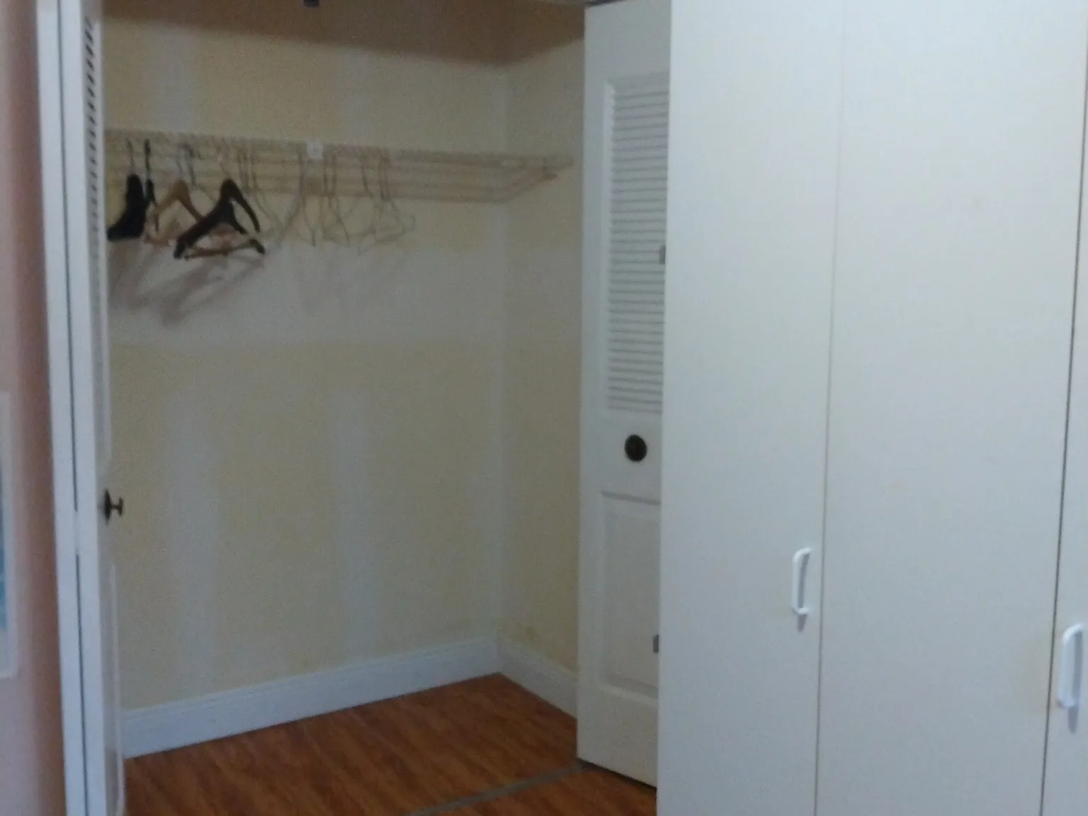 1 bed, $800 — Photo 3