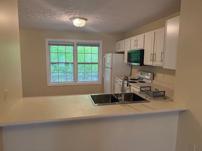 1290 Orange Leaf Ct — Photo 8
