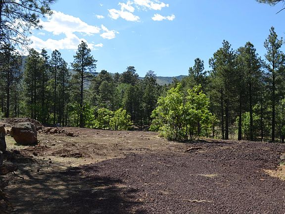 3rd image of 7308 Oakwood Pines Dr