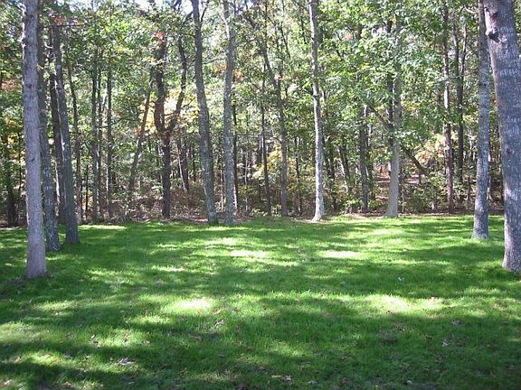 private wooded view in yard