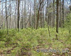 4th image of 115 Mirehouse Run Lot 142