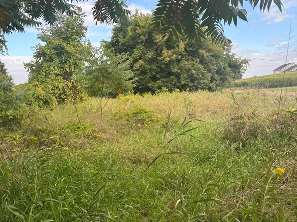 16250 Hall Rd, Casnovia, MI 49318