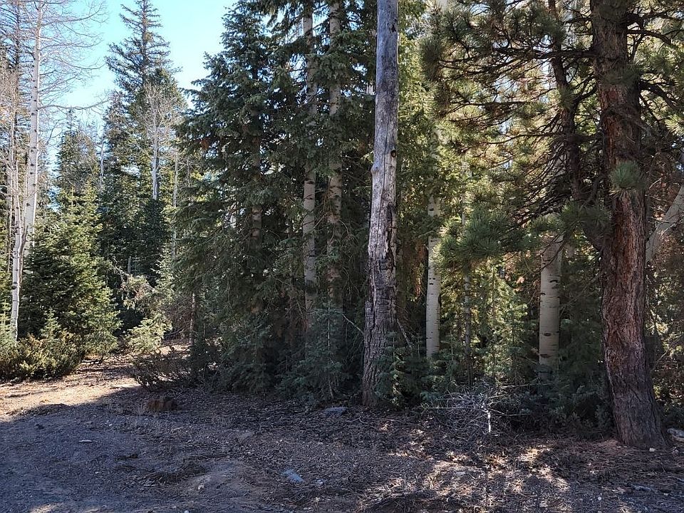 2nd image of Meadow Ranch Dr