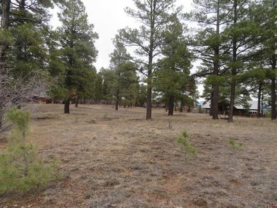 601 Oxbow Circle, Pagosa Springs, CO, 81147
