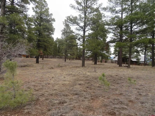 601 Oxbow Circle, Pagosa Springs, CO 81147