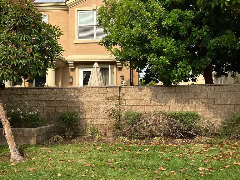 19123 Alexa Ln — Photo 17
