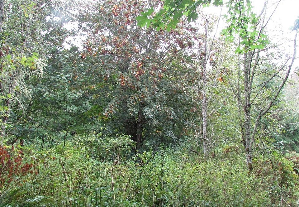 2nd image of 850 4 Corners Rd