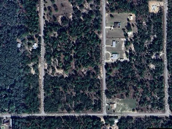 SW Lemon Hill Dr Lot 17, Dunnellon, FL 34431