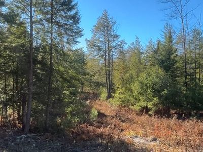 Lot 6 Naples Road, Harrison, ME, 04040