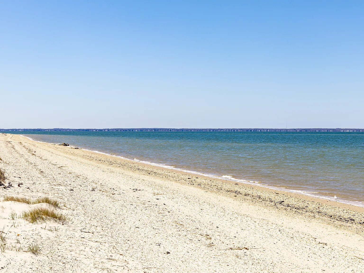 Adorable Beach Cottage Available For Rent in Southampton — Photo 4