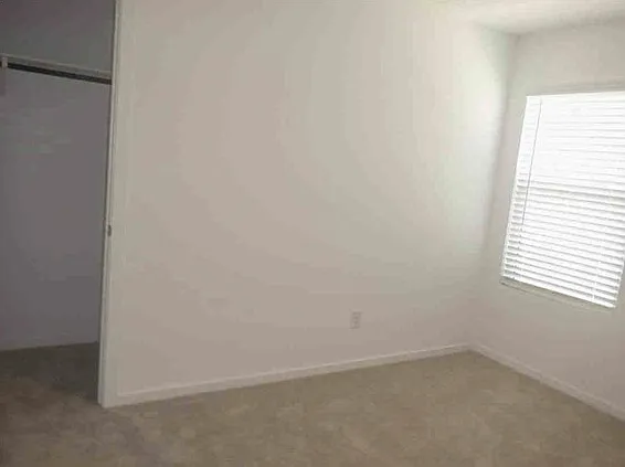 728 Dressage Ln — Photo 6