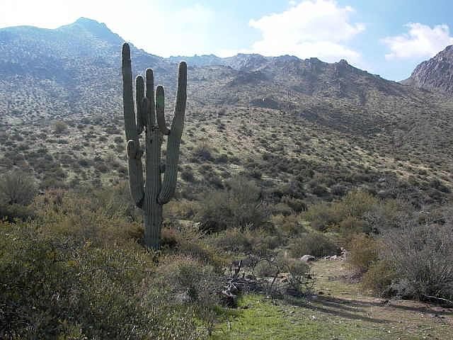 1st image of 12031 E CASITAS DEL RIO Drive #21