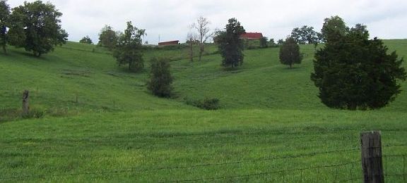 5th image of 221 Windy Ln