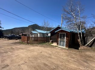 148 W Park Ave #4, Empire, CO 80438