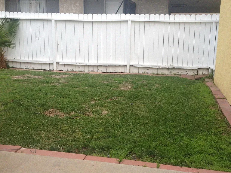 large back yard