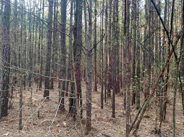 Calhoun County S #274, Fordyce, AR 71742