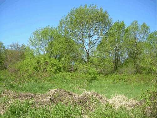 1st image of LOT 1 S Island Vw