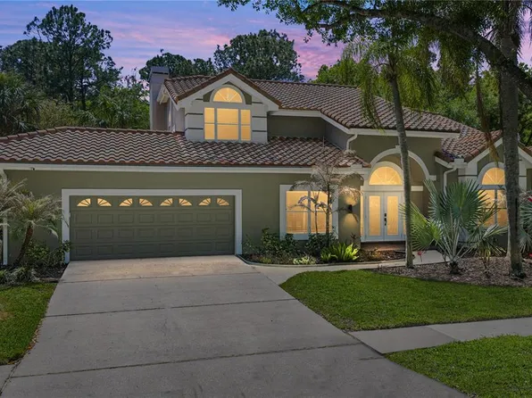 17820 Grey Brooke Dr, Tampa, FL 33647