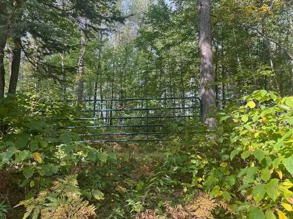 Pickerel Creek Rd, Pearson, WI 54462