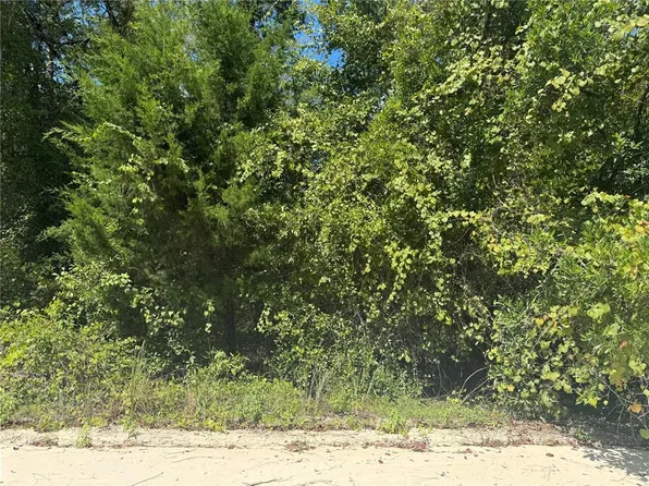 90th, Bronson, FL 32621