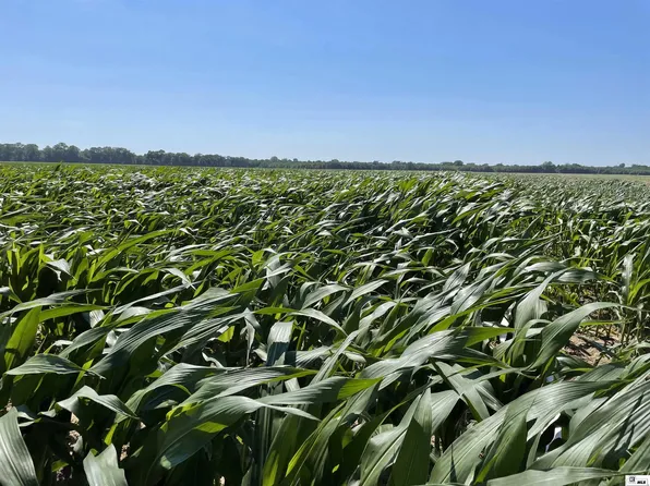 0 Highway 42, Cherry Valley, AR 72324