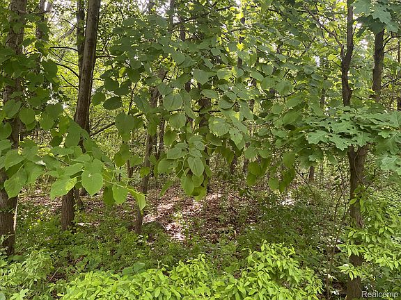 2nd image of 9 N Tipsico Lake Rd