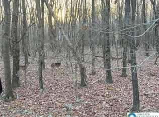 36 Occoquan Trl, Albrightsville, PA 18210