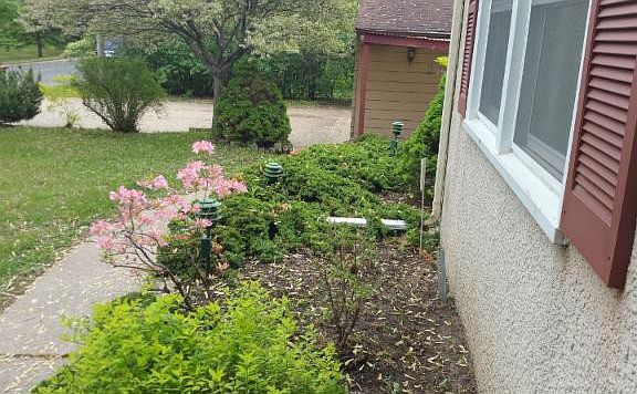 4th image of 1100 Fenton Ave E