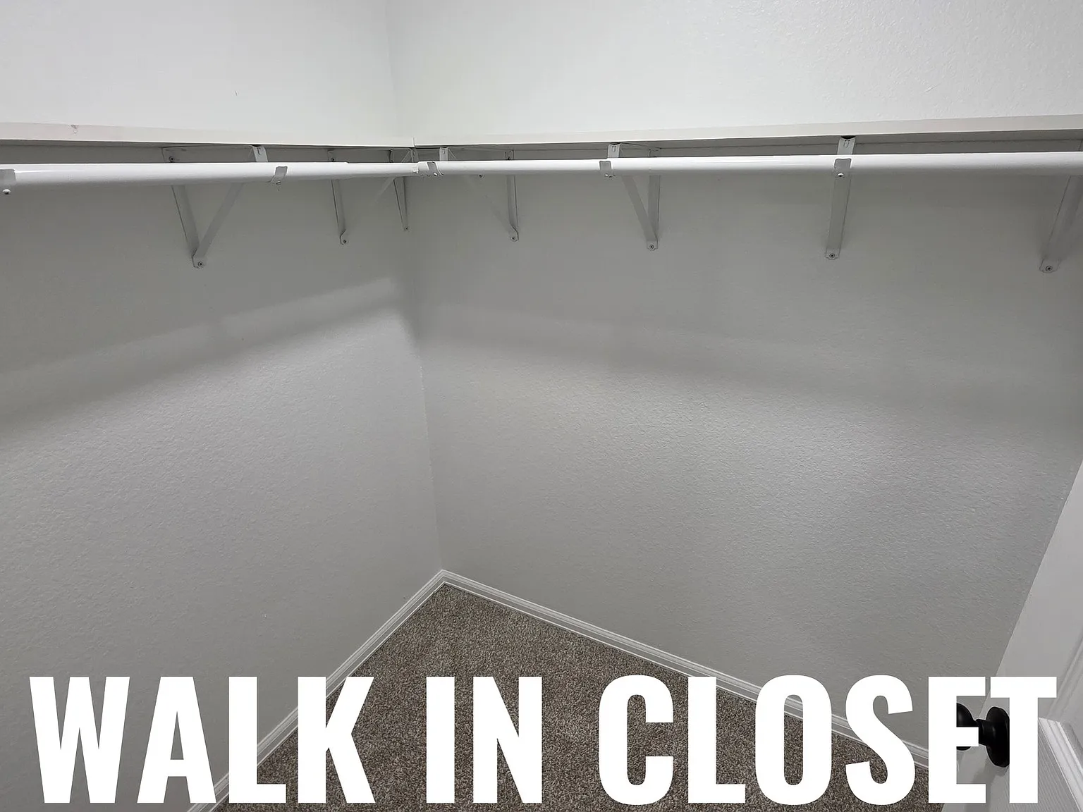 10 bed, 5.0 bath, 3833 sqft, $875 — Photo 3