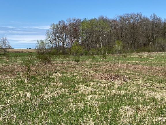 5th image of 18 Conway Rd