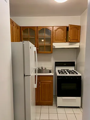 Rented by Manhattan Flats | media 31