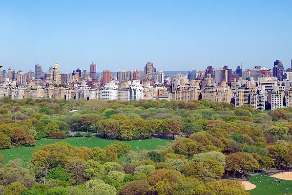 Sold by Douglas Elliman | media 36