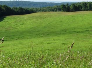 Clock Hill Rd, Burlington flats, NY 13315