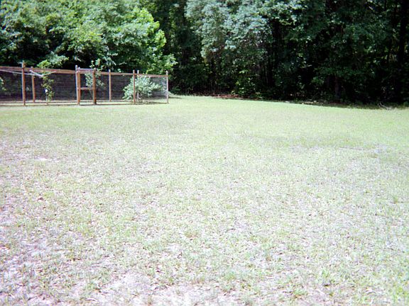 Fenced in fruit trees