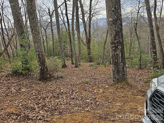 4th image of 709 Craggyside Ln #24
