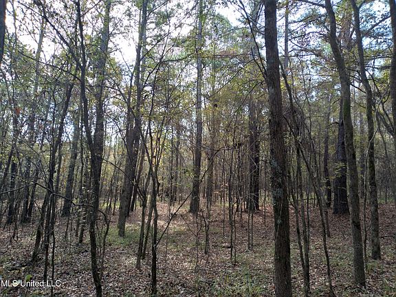 5th image of Harden Ln