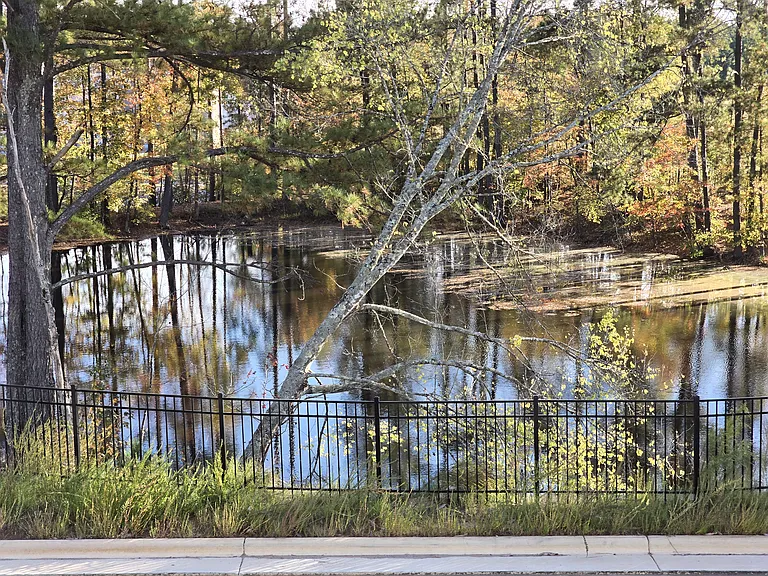 427 Carolina Springs Blvd — Photo 2