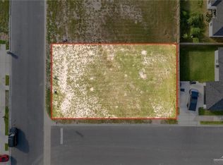 917 Brushfield Ave, Edinburg, TX 78541