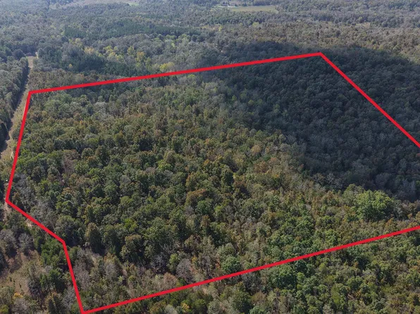 990 Moore Rd, Evening Shade, AR 72532