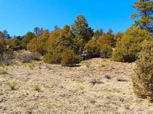 67 Hillside Lane, South Fork, CO 81154