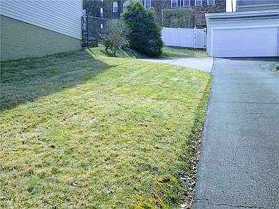 Yard/Driveway