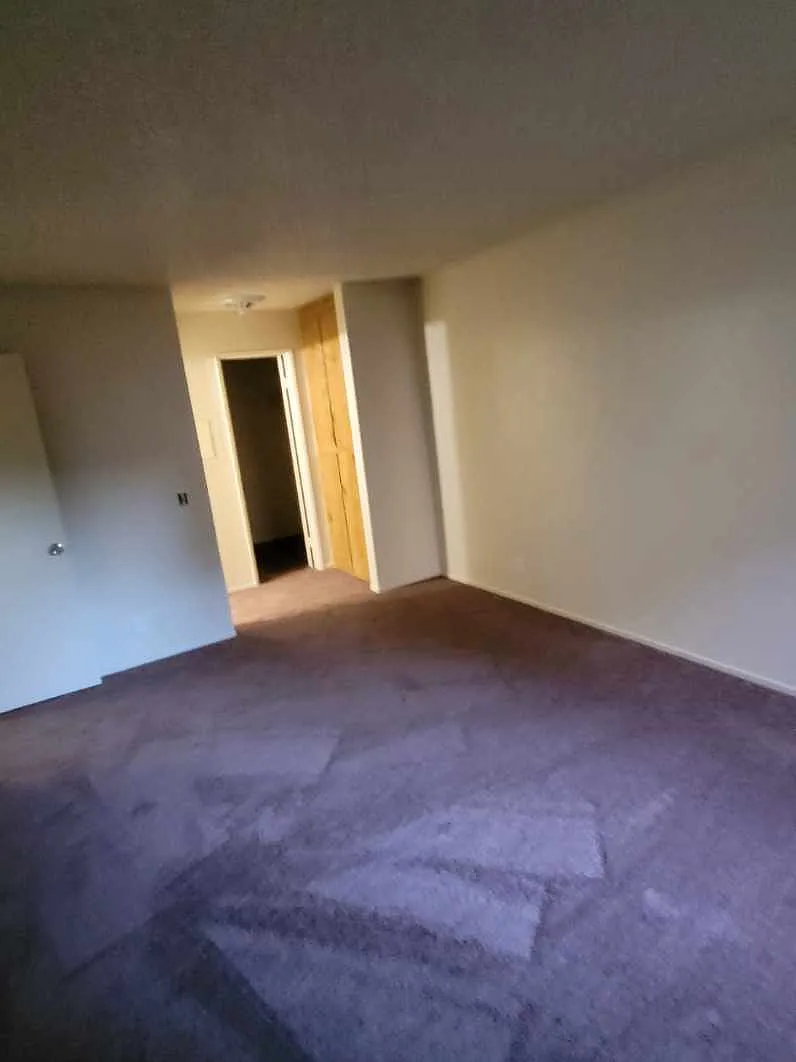 1 bed, 709 sqft, $1,600 — Photo 3